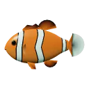 Clownfish