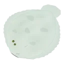 Flounder
