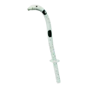 Garden eel