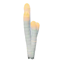Glow worm