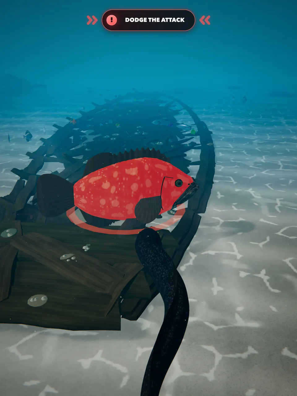 A Black eel dodges a charge from the red Giant Grouper boss beside the Shipwreck.