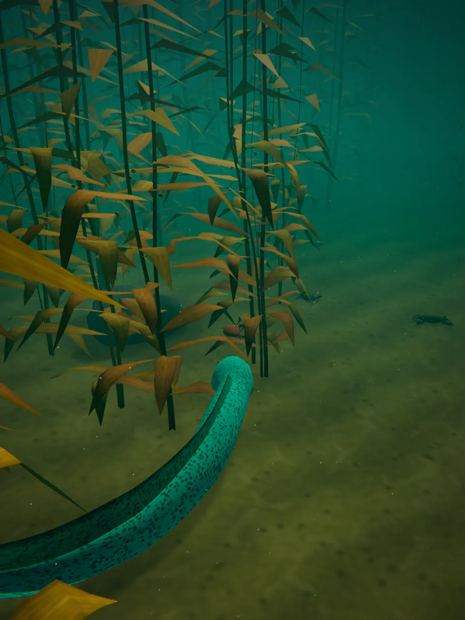 A spotted Electric Cyan eel weaves between tall golden kelp in the Kelp Forest.