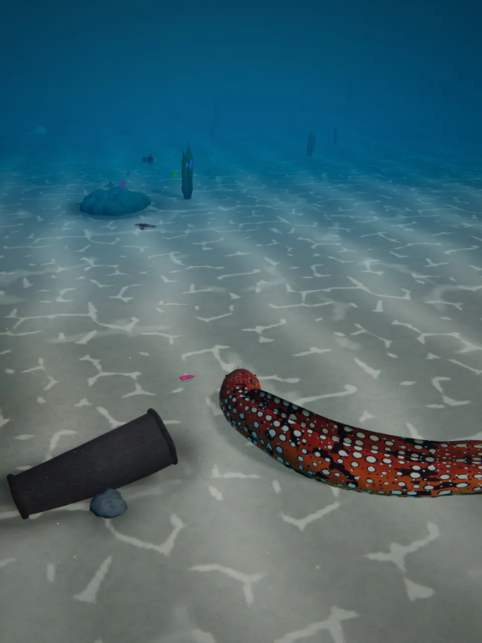 A Dragon Moray glides over the bright, rippled sand at the Shipwreck.