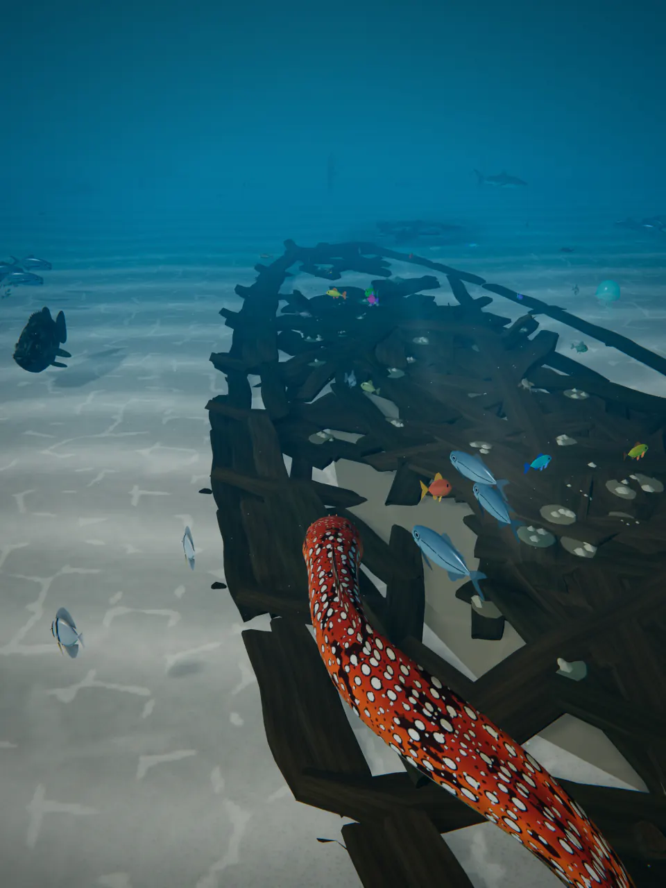 A Dragon Moray swims over the broken hull of the Shipwreck.