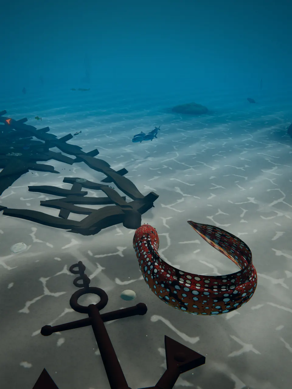 A Dragon Moray curls past the old anchor at the Shipwreck.