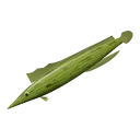 Kelpfish