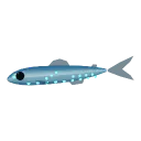 Lanternfish