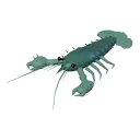 Lobster