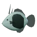 Triggerfish