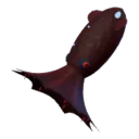 Vampire squid